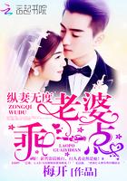 老婆乖乖入怀免费阅读