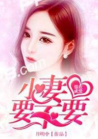 小老婆是属于什么关系