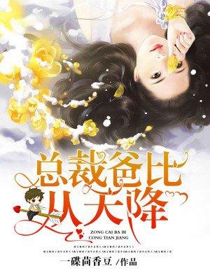 总裁的爸比从天降全文阅读