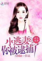 帝少的逃宠小妻