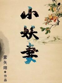 夫君是未来大魔王怎么办?推荐