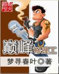 巅峰之修理厂阿峰