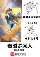 秦时罗网人免费阅读全文