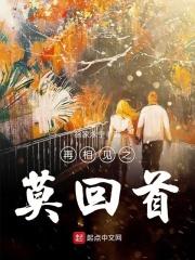 歌词 再相见