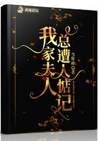 我家夫人每天都在轰动全城