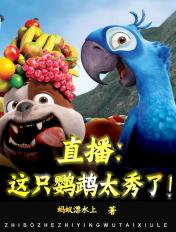 可爱的鹦鹉视频