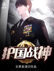 护国战神林羽沈卿月