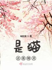 猫像精灵