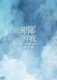 卑鄙的我用英文怎么说