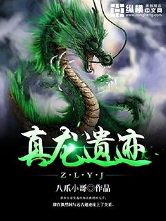 真龙遗迹短剧合集免费观看全集