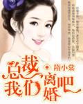 总裁我们离婚吧落歌
