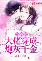 满级大佬成为炮灰女配