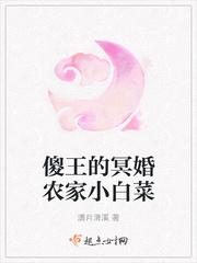 傻王的代嫁萌妻全文免费阅读全文