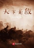 我的大明天下无敌起点