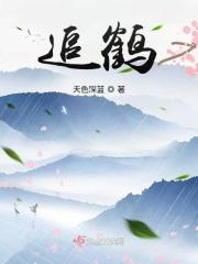 观鹤笔记