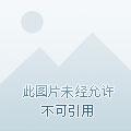 星能玩家排名