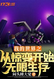 我的世界惊变100天生存攻略