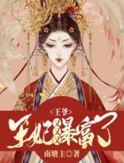 王爷王妃又生了