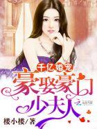 千亿婚宠豪娶豪门少夫人第二册