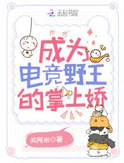 王者成为电竞选手