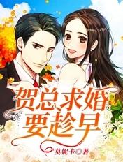 贺总的闪婚暖妻免费阅读