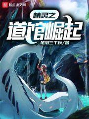 精灵道馆攻略
